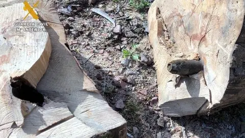 Proyectil en el interior del &aacute;rbol