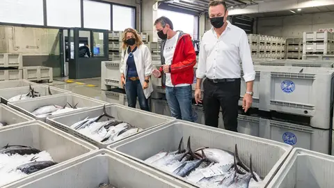 . El Consejero De Desarrollo Rural, Ganader&iacute;a, Pesca, Alimentaci&oacute;n Y Medio Ambiente, Guillermo Blanco, Asiste A La Descarga De Bonito En Este Puerto.