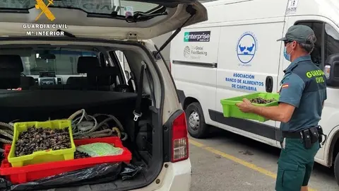 Entrega al Banco de Alimentos de percebes intervenidos por la Guardia Civil