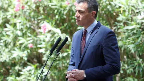 El presidente del Gobierno, Pedro S&aacute;nchez