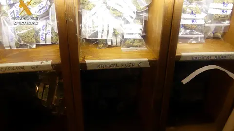 Marihuana intervenida en la asociaci&oacute;n cann&aacute;bica