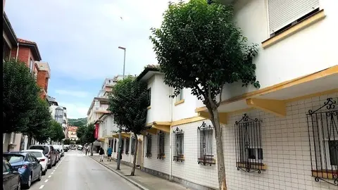&Aacute;rboles Invadiendo Las Casas De Los Vecinos.