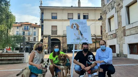 Feria adopci&oacute;n animales.