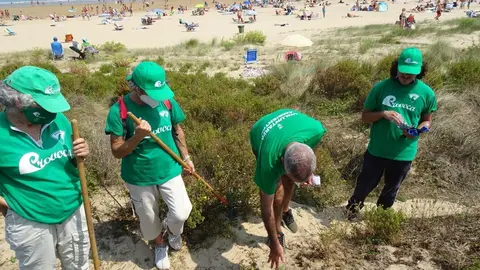 Jornada de voluntariado ambiental