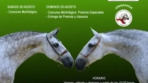 Cartel del Concurso Morfol&oacute;gico Ciudad de Torrelavega