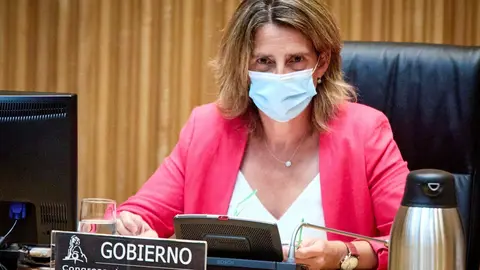 La ministra de Transici&oacute;n Ecol&oacute;gica y Reto Demogr&aacute;fico, Teresa Ribera, este lunes en el Congreso.