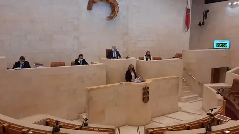 La fiscal superior de Cantabria, Pilar Jim&eacute;nez, presenta la memoria de 2020 en el Parlamento