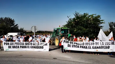 Manifestaci&oacute;n de ganaderos por los precios insuficientes de la leche