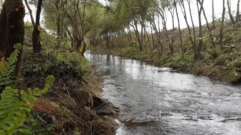 R&iacute;o Izarilla en Matamorosa