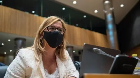 La diputada nacional del PP, Elena Castillo