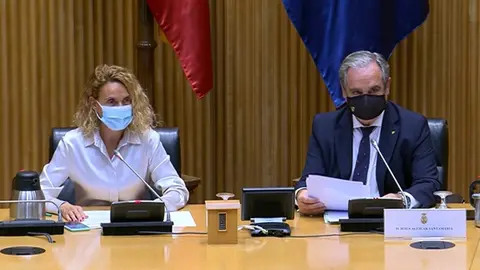 La presidenta del Congreso de los Diputados, Meritxell Batet, y el presidente del Consejo General de Colegios Farmac&eacute;uticos, Jes&uacute;s Aguilar.