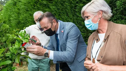 El consejero de Desarrollo Rural, Guillermo Blanco, y la alcaldesa de Polanco, Rosa D&iacute;az, asisten a la suelta experimental de ejemplares de un parasitoide para combatir la psila africana