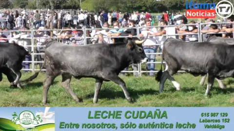 Captura de pantalla 2021-10-12 a las 17.16.22