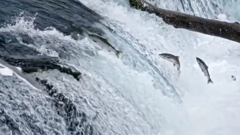 Captura de pantalla 2021-11-09 a las 19.52.03