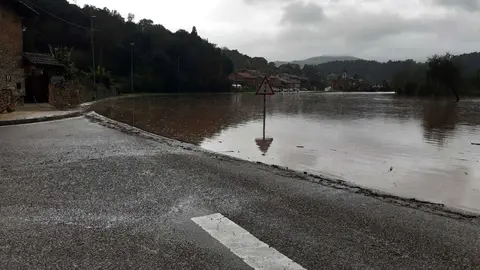 WhatsApp Image 2021-11-24 at 12.26.42 (1)