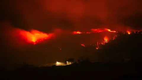 WhatsApp Image 2022-01-01 at 23.53.53