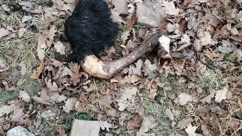 PHOTO-2022-01-03-14-50-31 3