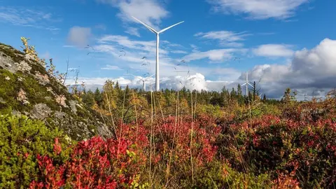 To date, Siemens has installed more than 440 wind turbines with a capacity of 1,091 MW in Sweden. Siemens supplied a total of 123 wind turbines for the wind farms &Ouml;gonf&auml;gnaden and Bj&ouml;rkh&ouml;jden with an overall output of 369 MW. Siemens delivered 25 SWT-3.0-113 for Bjoerkhoejden and a capacity of 75 MW.