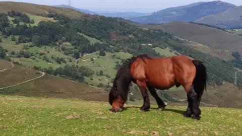 Captura de pantalla 2022-02-12 a las 10.29.48