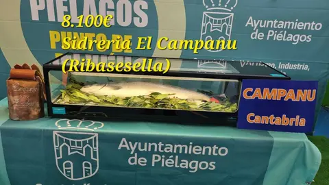 WhatsApp Image 2022-04-02 at 8.01.14 PM