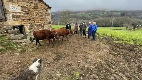 El consejero de Desarrollo Rural, Ganader&iacute;a, Pesca, Alimentaci&oacute;n y Medio Ambiente, Guillermo Blanco, vista una explotaci&oacute;n ganadera de raza pasiega en San Pedro del Romeral.
11 FEB 22