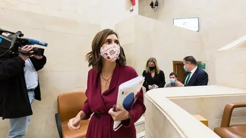 10:00 horas. Parlamento de Cantabria. La consejera de Presidencia, Interior, Justicia y Acci&oacute;n Exterior, Paula Fern&aacute;ndez, comparece ante la Comisi&oacute;n de Econom&iacute;a y Hacienda para informar del proyecto de presupuestos de su departamento para el a&ntilde;o 2021. 19 de noviembre de 2020 &copy; Ra&uacute;l Lucio