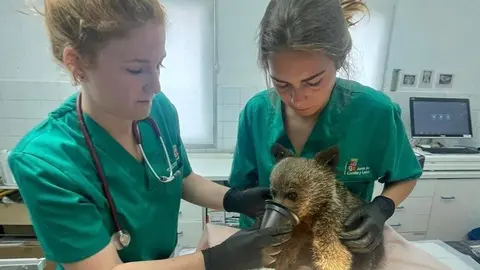 8DFB08AC-2A3D-49F2-99CA-575A1B062F4E