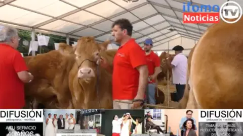 Captura de pantalla 2022-07-16 a las 21.21.05