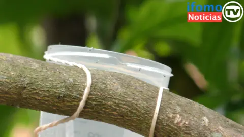 Captura de pantalla 2022-07-20 a las 12.36.52