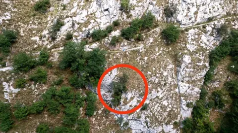 Captura de pantalla 2022-08-03 a las 9.57.01