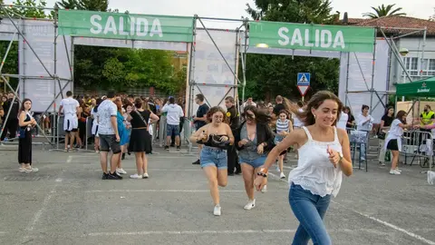 vive-la-feria-domingo149 (1)