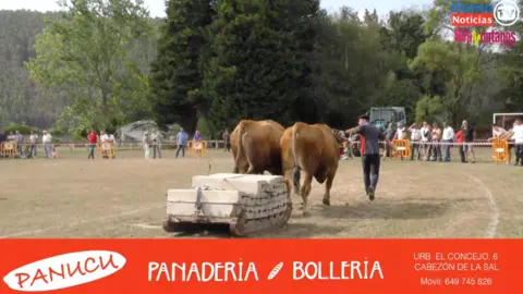 Captura de pantalla 2022-08-15 a las 10.43.41