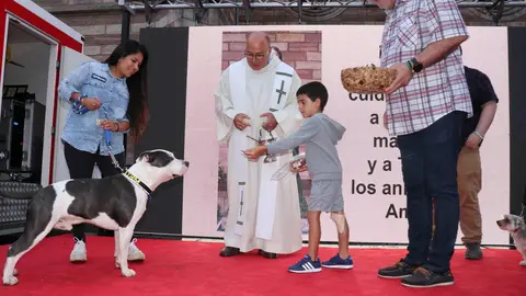 20220816195240_IMG_5979 (1)