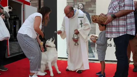 20220816195542_IMG_5994 (1)