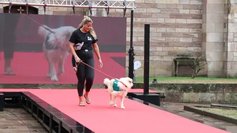 20220816182936_IMG_5891 (1)