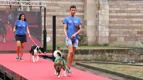 20220816183233_IMG_5908 (1)