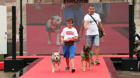 20220816183701_IMG_5922 (1)