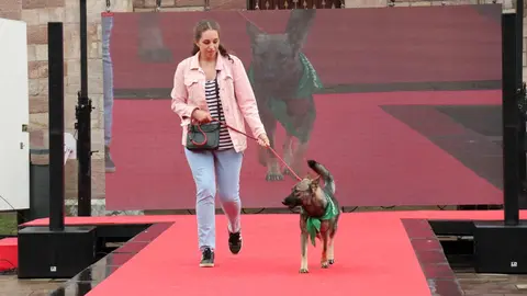 20220816183823_IMG_5927 (1)