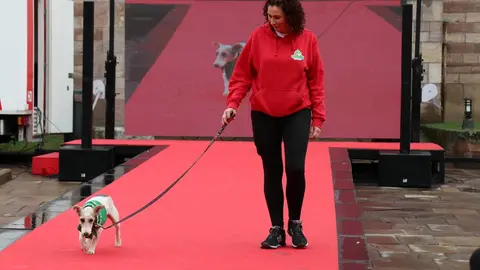 20220816184003_IMG_5934 (1)