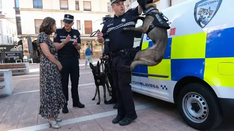 09:00 horas. Plaza Baldomero Iglesias. Torrelavega. La consejera de Presidencia, Interior, Justicia y Acci&oacute;n Exterior, Paula Fern&aacute;ndez, asiste a la presentaci&oacute;n de los nuevos medios destinados a la Unidad Canina de la Polic&iacute;a Local. 8 de julio de 2022 &copy; Ra&uacute;l Lucio