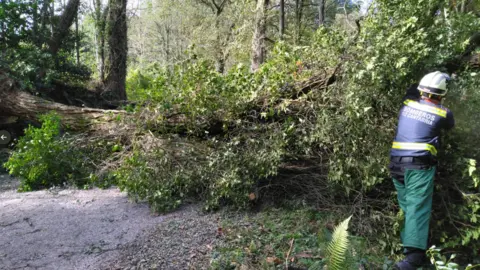 Captura de pantalla 2022-10-23 a las 20.43.34