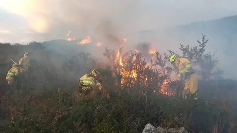 WhatsApp Image 2022-10-27 at 8.03.28 PM