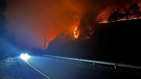 WhatsApp Image 2022-10-29 at 11.17.45 AM (1)