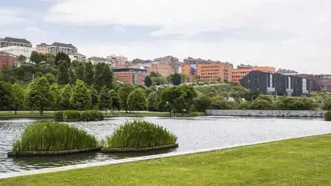 DAVID S. BUSTAMANTE 11/05/2018 SANTANDER/ CANTABRIA Campus universitario de la Universidad de Cantabria UC desde el parque de Las Llamas