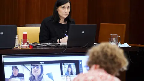 30/04/2020  SANTANDER
ep pleno de Ayto Santander 

Alberto Torres Briz

FOTO: JUAN MANUEL SERRANO ARCE
