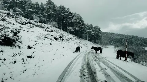 95F67491-D39D-4981-9D50-EC749406AD48