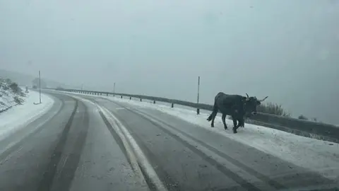 715D7A50-BE8A-4B91-BBAA-5CFE42E692D5