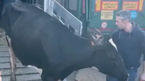 Captura de pantalla 2022-12-05 a las 15.43.34