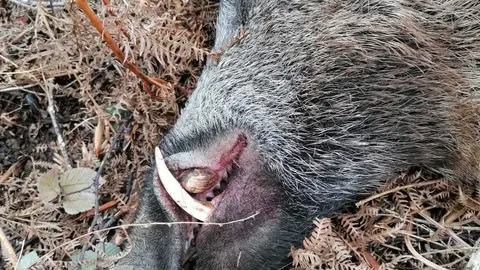 WhatsApp Image 2022-12-11 at 15.59.48