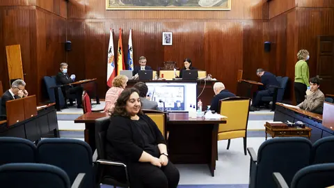 30/04/2020  SANTANDER
ep pleno de Ayto Santander 

Alberto Torres Briz

FOTO: JUAN MANUEL SERRANO ARCE
